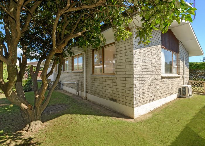  at 52D Third Avenue, Tauranga, Tauranga