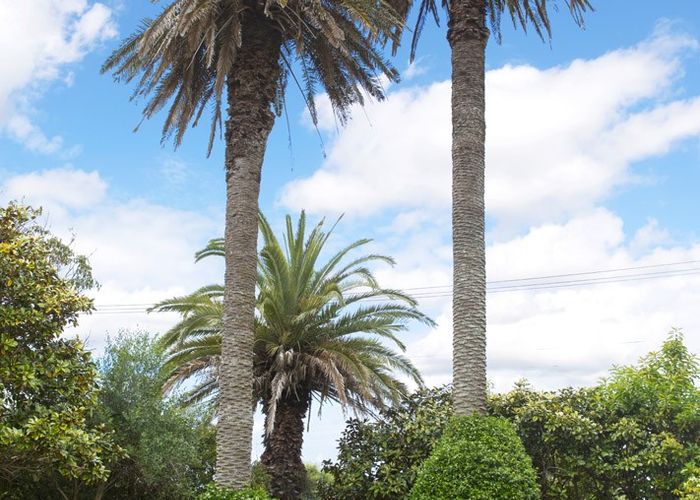  at 256 Lake Road, Hauraki, Auckland