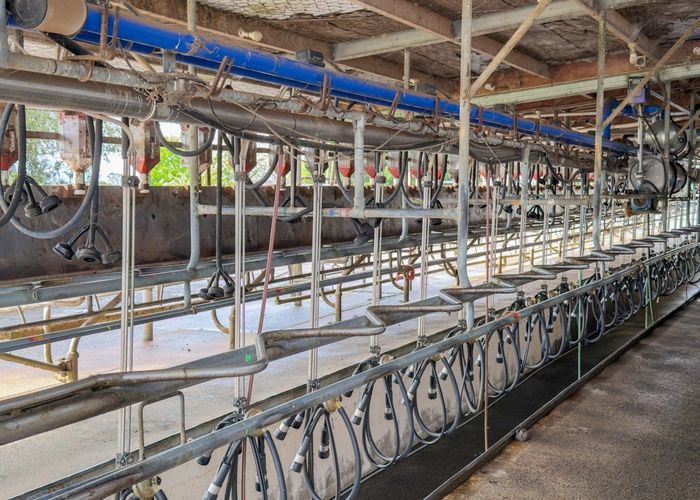  at 119 Wharepoa Road, Netherton, Hauraki, Waikato