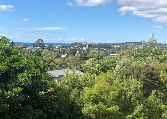  at 60 Cedar Terrace, Stanmore Bay, Whangaparaoa