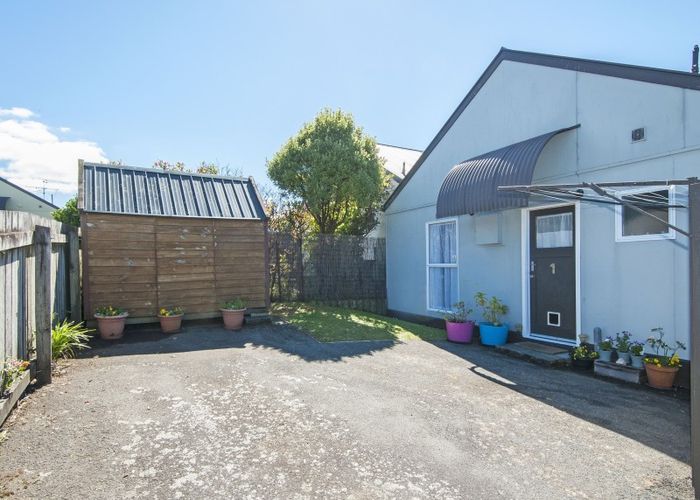  at 1/17 Cedar Street, Maungaraki, Lower Hutt