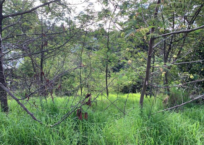  at 49 & 1/49 McClintock Road, Massey, Waitakere City, Auckland