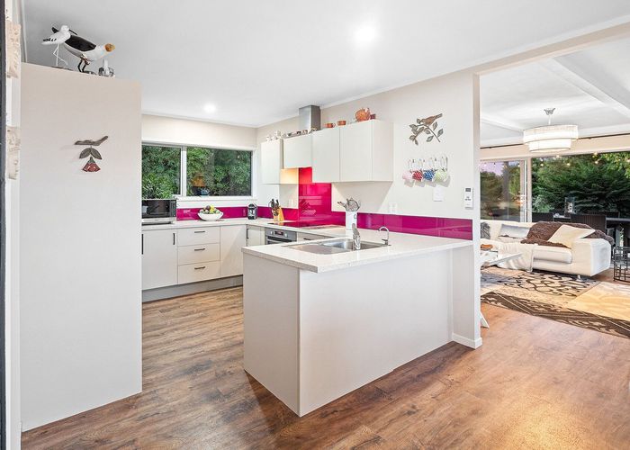  at 313 Youngson Road, Whakamarama, Western Bay Of Plenty, Bay Of Plenty