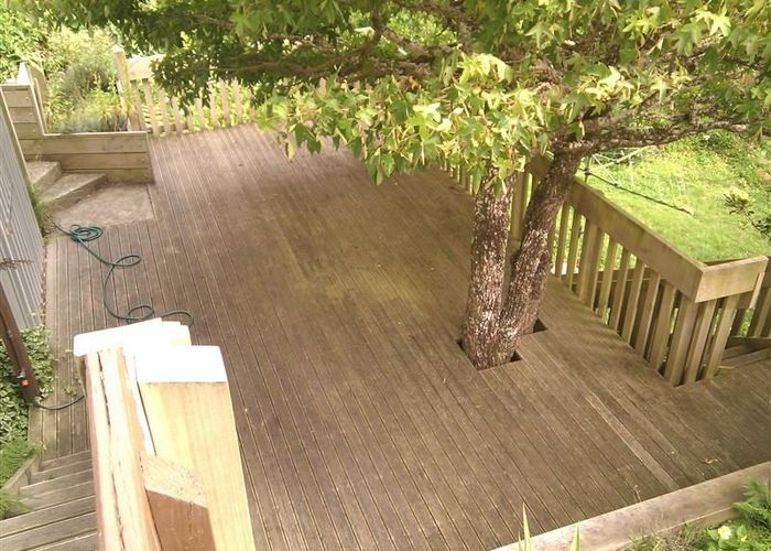  at 50a Apuka St, Brooklyn, Wellington, Wellington