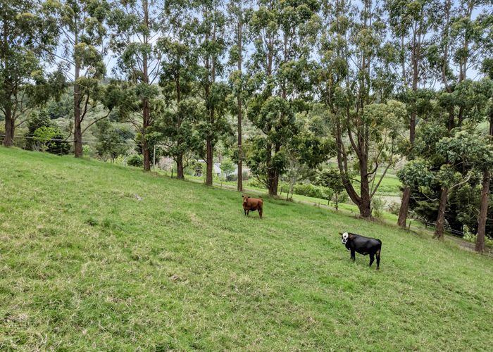  at 79 Grahamtown Road, Onerahi, Whangarei, Northland