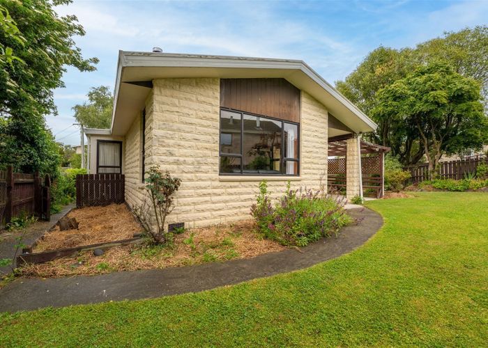  at 19 Poplar Street, Gleniti, Timaru