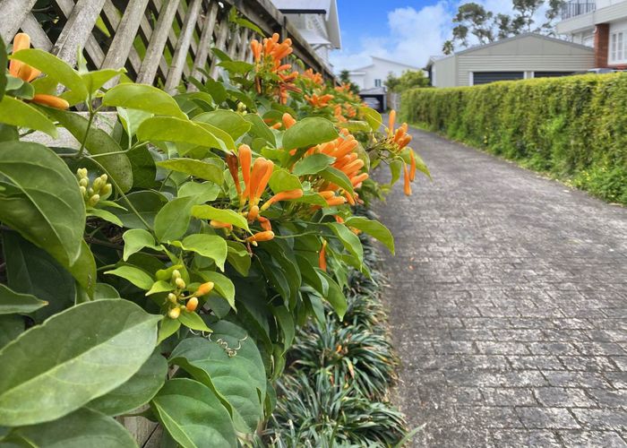  at 81B Western Springs Road, Western Springs, Auckland City, Auckland
