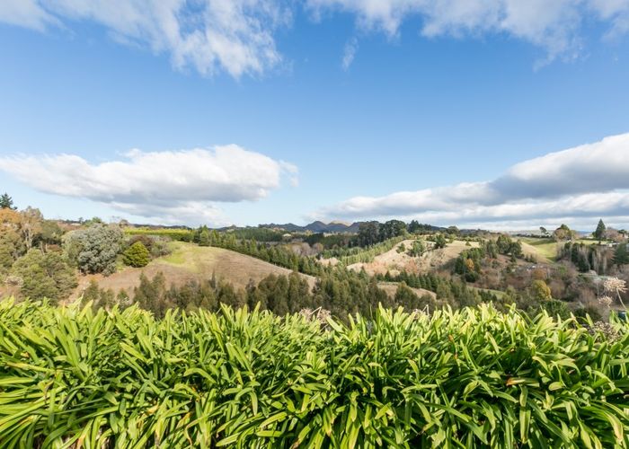 Free property data for 65 Hikanui Drive, Havelock North, Havelock North homes.co.nz