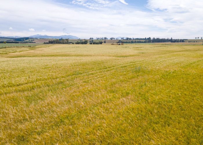  at Waitohi Pleasant Point Road, Temuka, Timaru, Canterbury