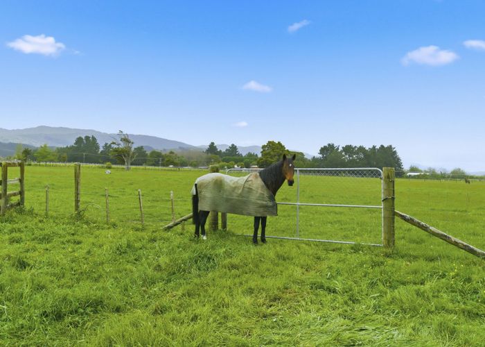  at 81 Muhunoa West Road, Ohau, Horowhenua, Manawatu / Whanganui