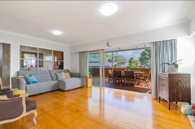  at 32 Sunnybrae Road, Hillcrest, North Shore City, Auckland
