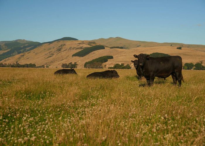  at 247 Seabridge Road, Motukarara, Banks Peninsula, Canterbury