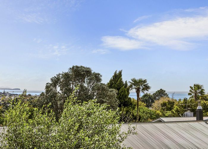  at 115 Matipo Road, Mairangi Bay, North Shore City, Auckland