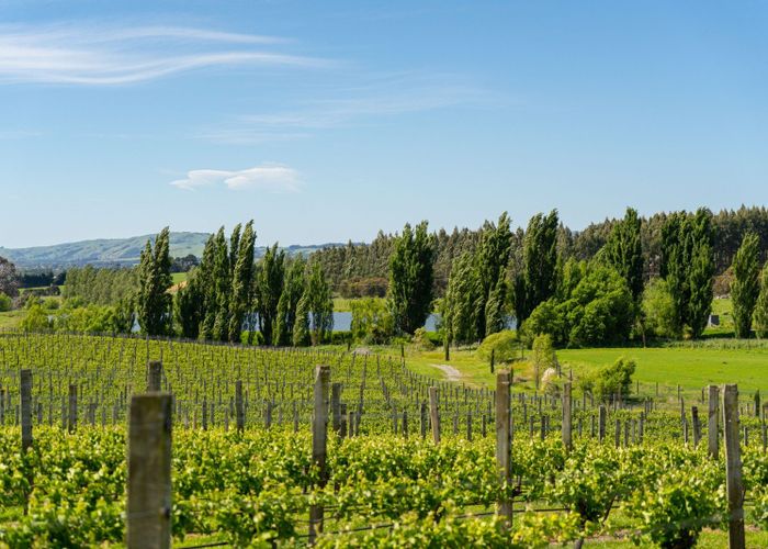  at 0 Vineyard Road, Te Kauwhata