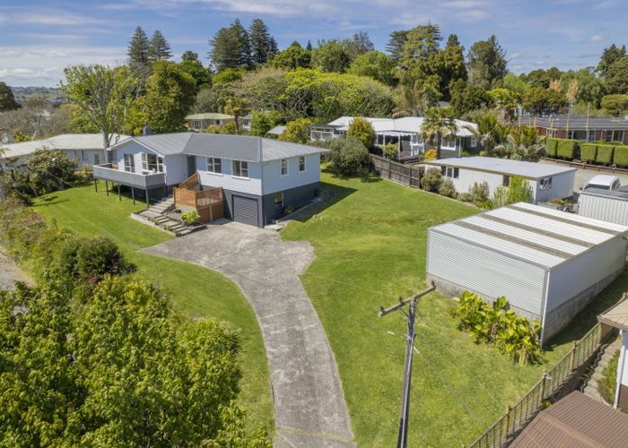  at 464 Fraser Street, Parkvale, Tauranga