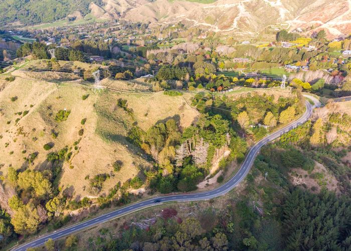  at 91 Nikau Palm Road, Nikau Valley, Paraparaumu