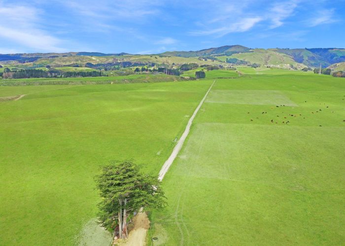  at 537 Tennent Drive, Linton, Palmerston North, Manawatu / Whanganui