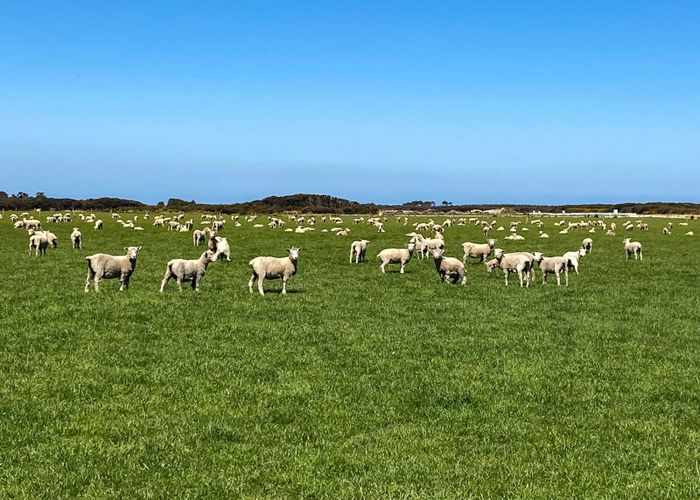  at 358 Holz Road, Ashers, Southland, Southland
