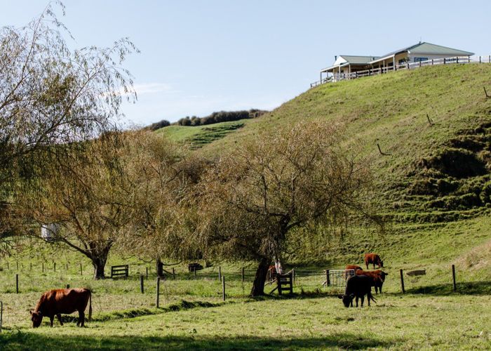  at 113C Downard Road, Awakeri, Whakatane, Bay Of Plenty
