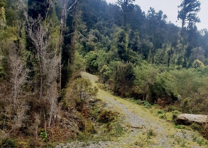  at Lot 6 Paringa River Area, Bruce Bay, Westland, West Coast