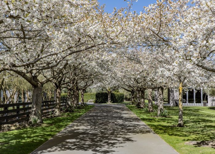  at 184 Vicenza Drive, Ohoka, Waimakariri, Canterbury