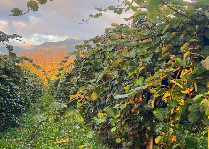  at 97 Long Plain Road, Takaka, Tasman, Nelson / Tasman