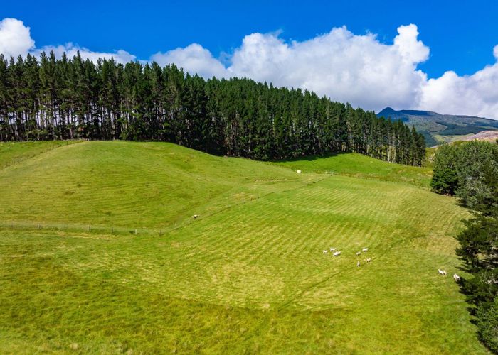  at 1941 Tangowahine Valley Road, Tangowahine