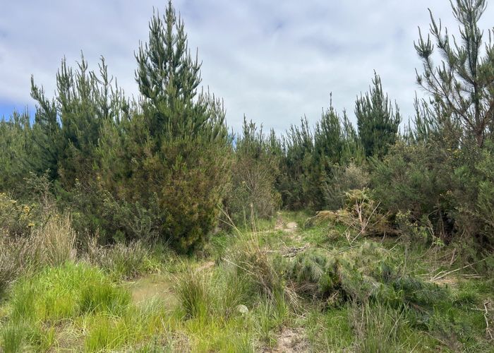  at Marsden Road, Paroa, Grey, West Coast