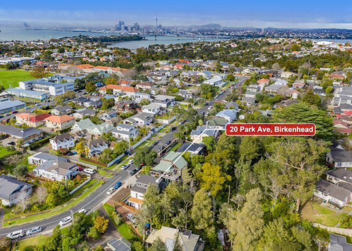  at 20 Park Avenue, Birkenhead, Auckland