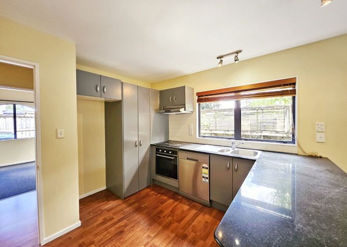  at 19B Kain Street, Mount Eden, Auckland