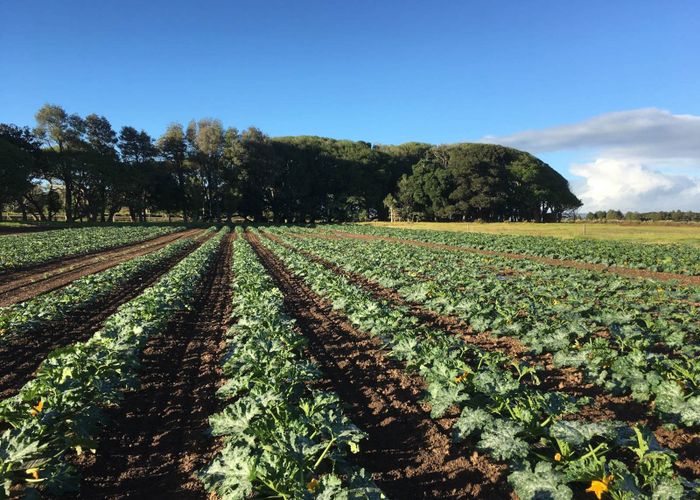 at 862 Gill Road, Kaitaia, Far North, Northland