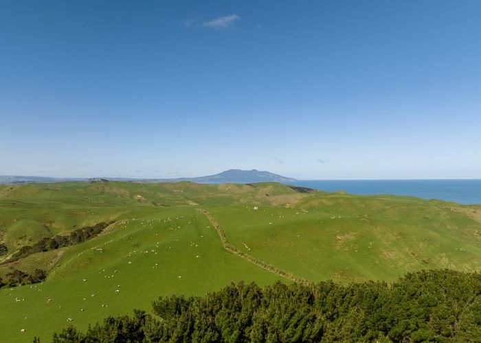  at 45 Te Akau Coast Road, Te Akau, Waikato, Waikato