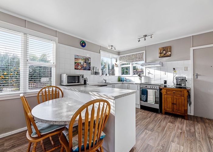  at 17 FELL ST, Grovetown, BLENHEIM