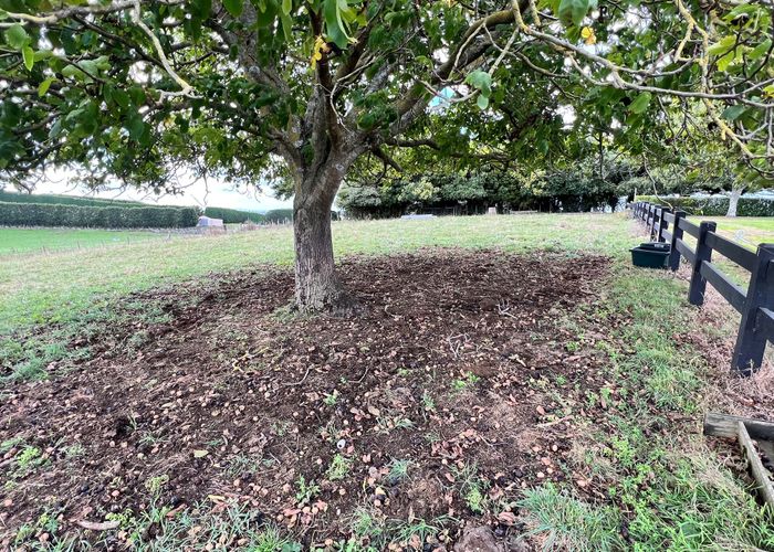  at 40 Budden Road, Pokuru, Te Awamutu