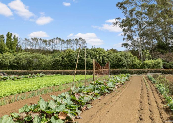  at 20 Ness Road, Kerikeri