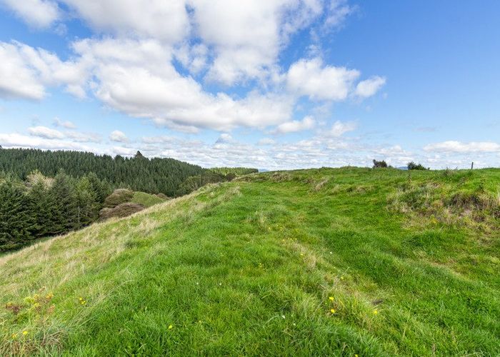  at 206E State Highway 30, Tikitere, Rotorua, Bay Of Plenty