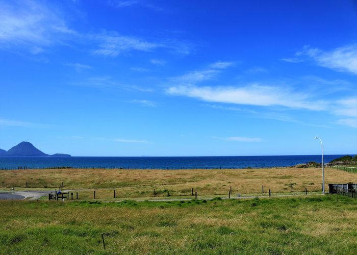  at Sections, Whakatane, Whakatane, Bay Of Plenty