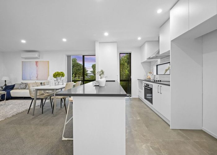  at 1/3 Arlington Street, Waterview, Auckland City, Auckland