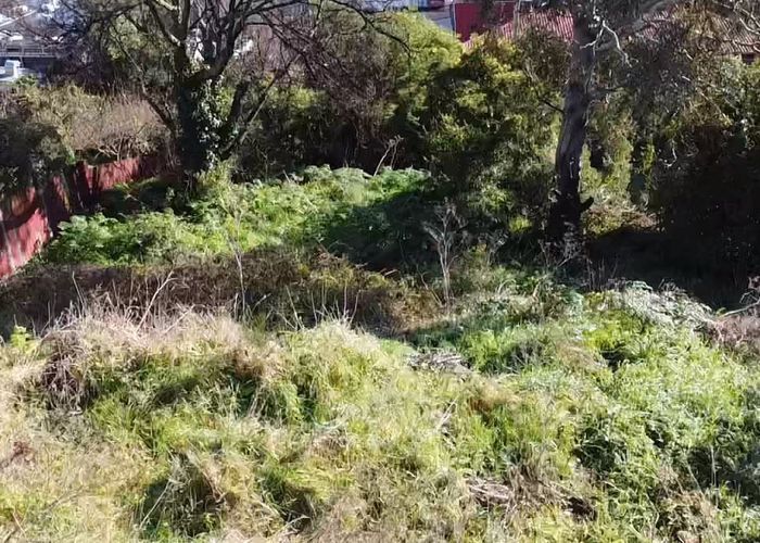  at 21 Currie Street, Port Chalmers, Dunedin, Otago