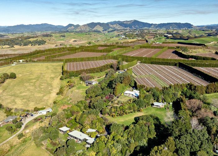  at 8a Thompson Road, Opotiki, Opotiki, Bay Of Plenty