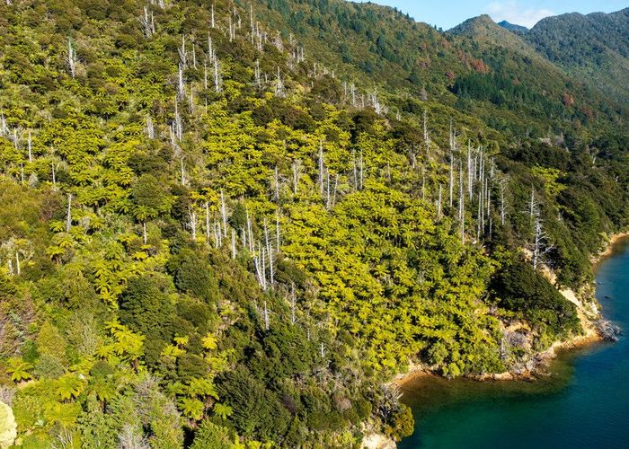  at Lot 2 North West Bay, Marlborough Sounds, Marlborough, Marlborough