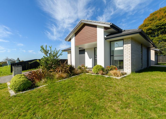  at 19 Omanga Way, Bethlehem, Tauranga, Bay Of Plenty