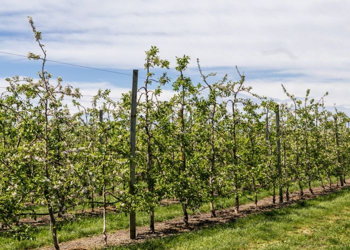  at 119 Parkhill Road, Haumoana, Hastings, Hawke's Bay