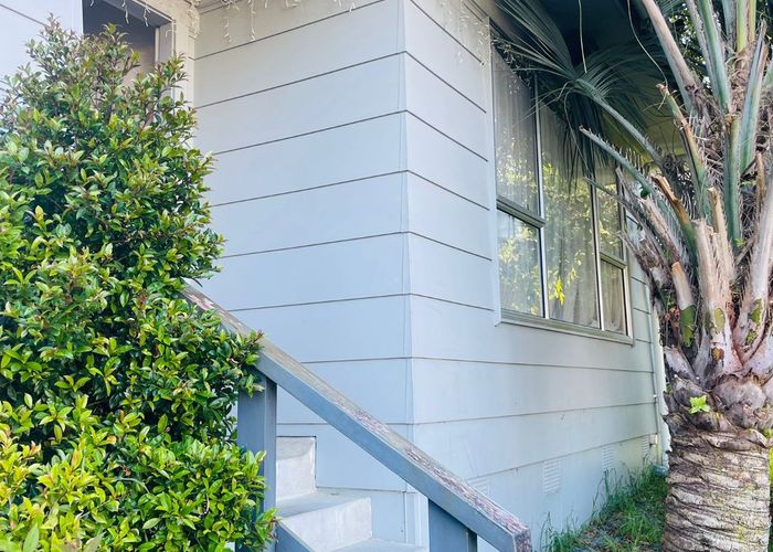  at 24 Sapphire Place, Bayview, Auckland