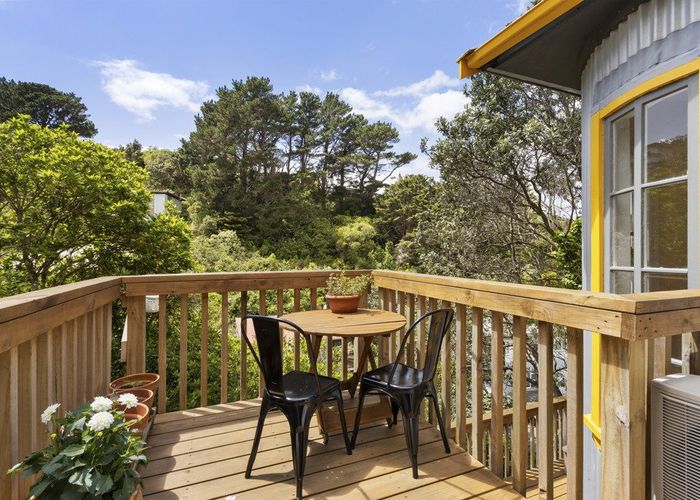  at 54 Liardet Street, Vogeltown, Wellington, Wellington