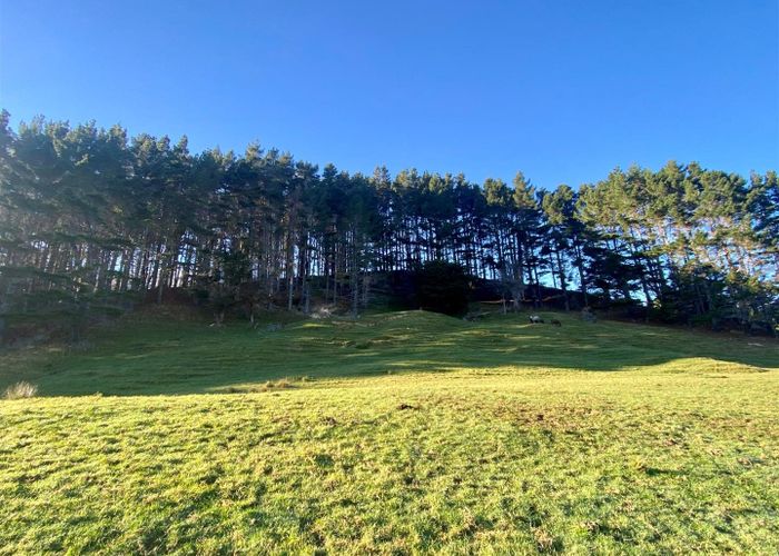  at 482 Krippner Road, Puhoi, Warkworth