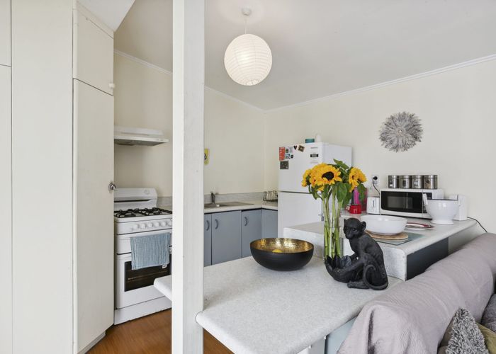  at 66 Elizabeth Street, Mount Victoria, Wellington