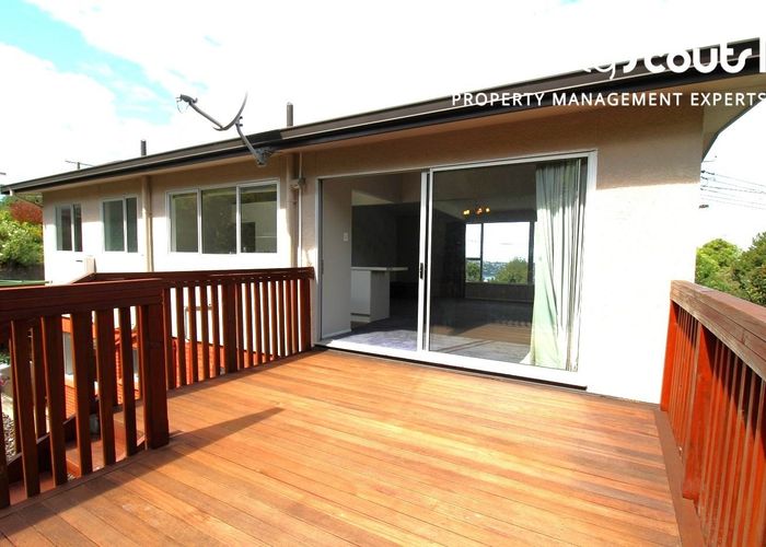  at 23 Henry Street, Maori Hill, Dunedin