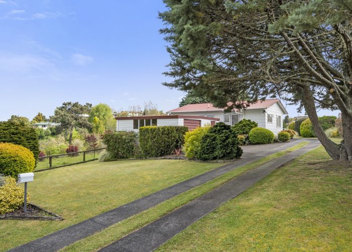  at 9 Harry Martin Drive, Putaruru