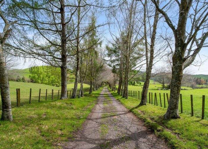 at 101 Te Weta Road, Waikite Valley, Rotorua, Bay Of Plenty